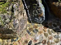 �ē��̋ɏ㐅�̎ʐ^1