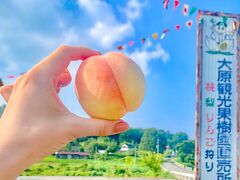 �匴�ό��ʎ����̎ʐ^1