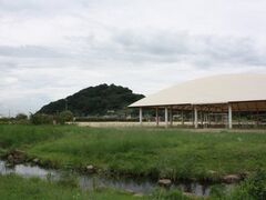 ����s�O�c�R�X�|�[�c�����̎ʐ^1