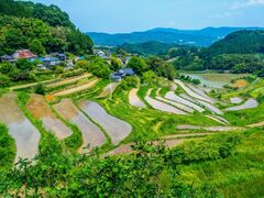北庄棚田の写真1