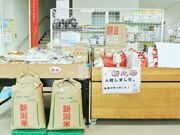 �ԂƗ΂̃V���{���]�[������炱���ǂ̎ʐ^4