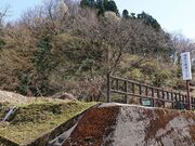 �|���Ð��p�[�N�̎ʐ^2