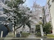 �����隬�@��̊ېՂ̎ʐ^2