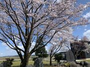 �������Ð��p�[�N�̎ʐ^2