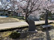 �������Ð��p�[�N�̎ʐ^4