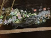 ���@�@�{�R���c�@�@���R�@���@���̎ʐ^4