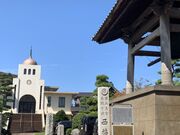 �������̎ʐ^2