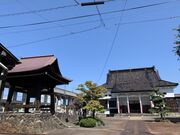 �h�y���̎ʐ^3