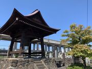 �h�y���̎ʐ^4