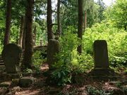 ���ώ��̎ʐ^3