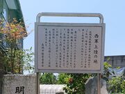 ���R�i�V���{�R�j�㗤�̒n�̎ʐ^2