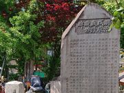 ���R�i�V���{�R�j�㗤�̒n�̎ʐ^3