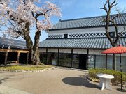 ���@�߃T�t�����𐻑��{�܁E�đ��̎ʐ^2