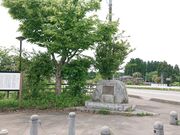 �i�n�ɑ��Y�u���v�̔�̎ʐ^3