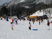 �~���z�X�L�[�K�[�f���i���ړI�L��j�̎ʐ^3