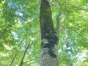 ��Z�����u�i�т̎ʐ^3