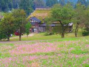 �q�ӂ邳�Ƒ��@���R�ƌe�̐X�̎ʐ^2