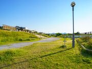 �D�������̎ʐ^2