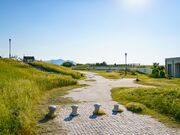 �D�������̎ʐ^4