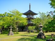 �{�ꐴ���i�悤�₵�݂��j�̎ʐ^2