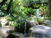 �H��̐����̎ʐ^2