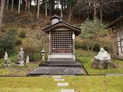 ��@���̎ʐ^3