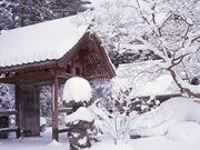 �������̎ʐ^2