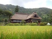 �����Ƃ̎ʐ^4