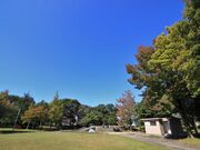 �k�����̎ʐ^3