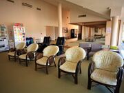 ���̓�����̎ʐ^4