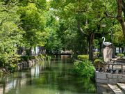 ����Γ������E�}��Γ������̎ʐ^3