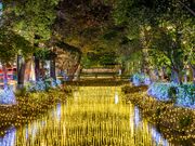 ����Γ������E�}��Γ������̎ʐ^4