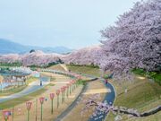 ���삳����݂��̎ʐ^2