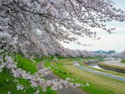 ���삳����݂��̎ʐ^3