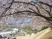 ���삳����݂��̎ʐ^1