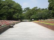 ��Ì����̎ʐ^2