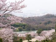 �폼�R���������n�̎ʐ^2