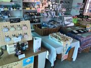 ���܂̂����̎ʐ^2