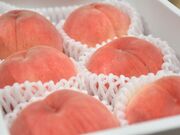 �匴�ό��ʎ����̎ʐ^3