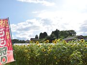 �匴�ό��ʎ����̎ʐ^4