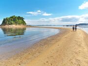 �������B�[�i�X���[�h�̎ʐ^2