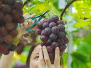 ���Ύ����̎ʐ^2