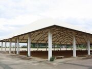 ����s�O�c�R�X�|�[�c�����̎ʐ^2