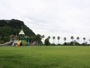 ����s�O�c�R�X�|�[�c�����̎ʐ^3