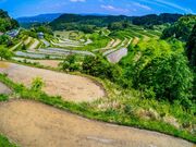 �k���I�c�̎ʐ^2