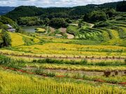 �k���I�c�̎ʐ^3