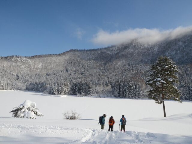 �~�̖k���΁��Ώ��������Ƃ͂ł��܂���_�k����