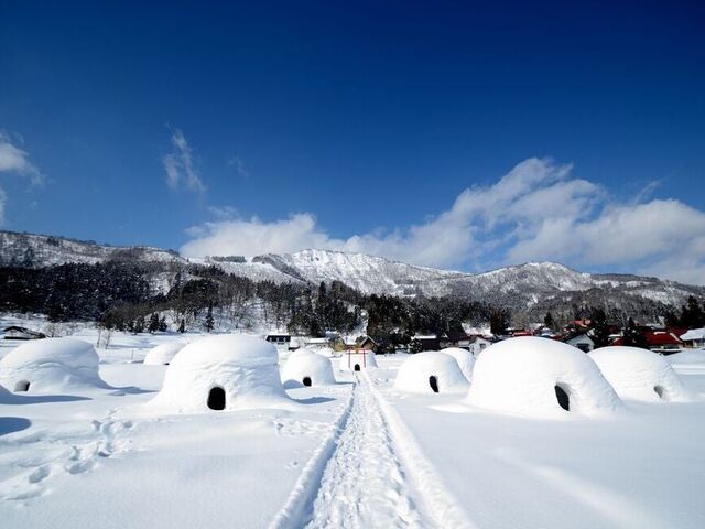 ���܂���̗��̎ʐ^1