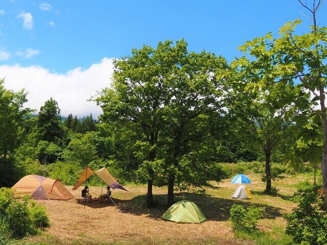 �Ȃׂ��獂���E�X�̉ƃe���g�T�C�g�̎ʐ^1