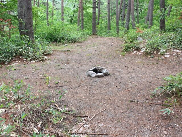 ���쑺�n���������L�����v��